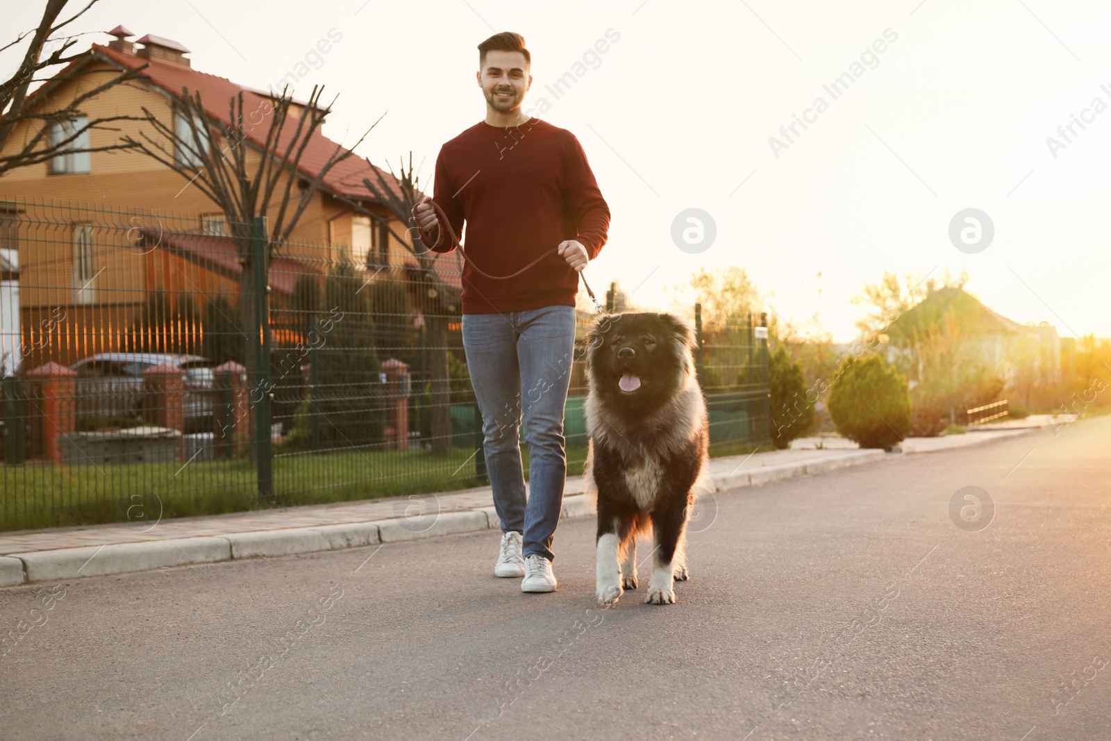 Photo of Young man walking his Caucasian Shepherd dog outdoors