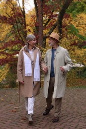 Photo of Affectionate senior couple walking in autumn park