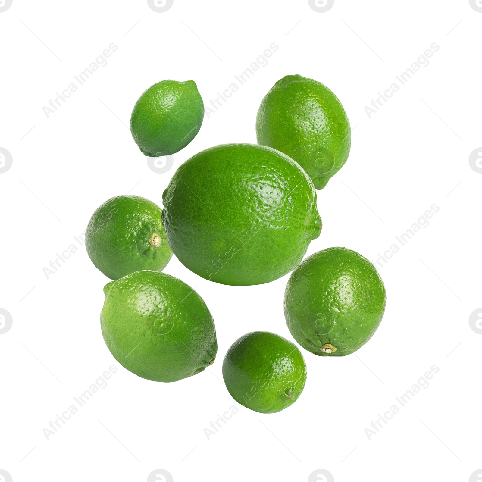 Image of Fresh lime fruits falling on white background