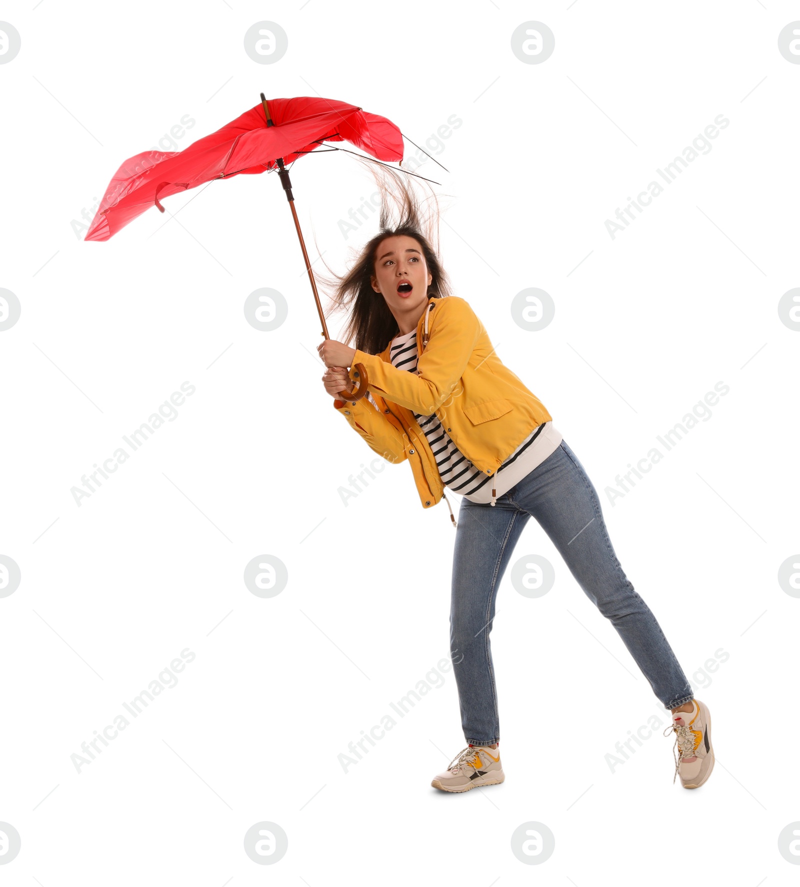 Photo of Emotional woman with umbrella caught in gust of wind on white background