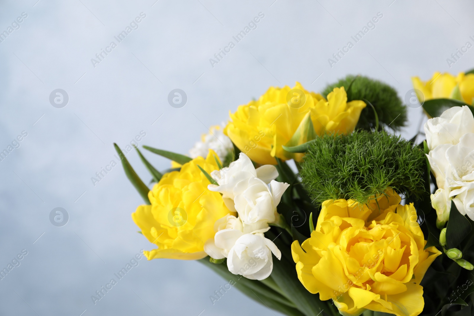 Photo of Beautiful bouquet with peony tulips on light blue background, closeup. Space for text