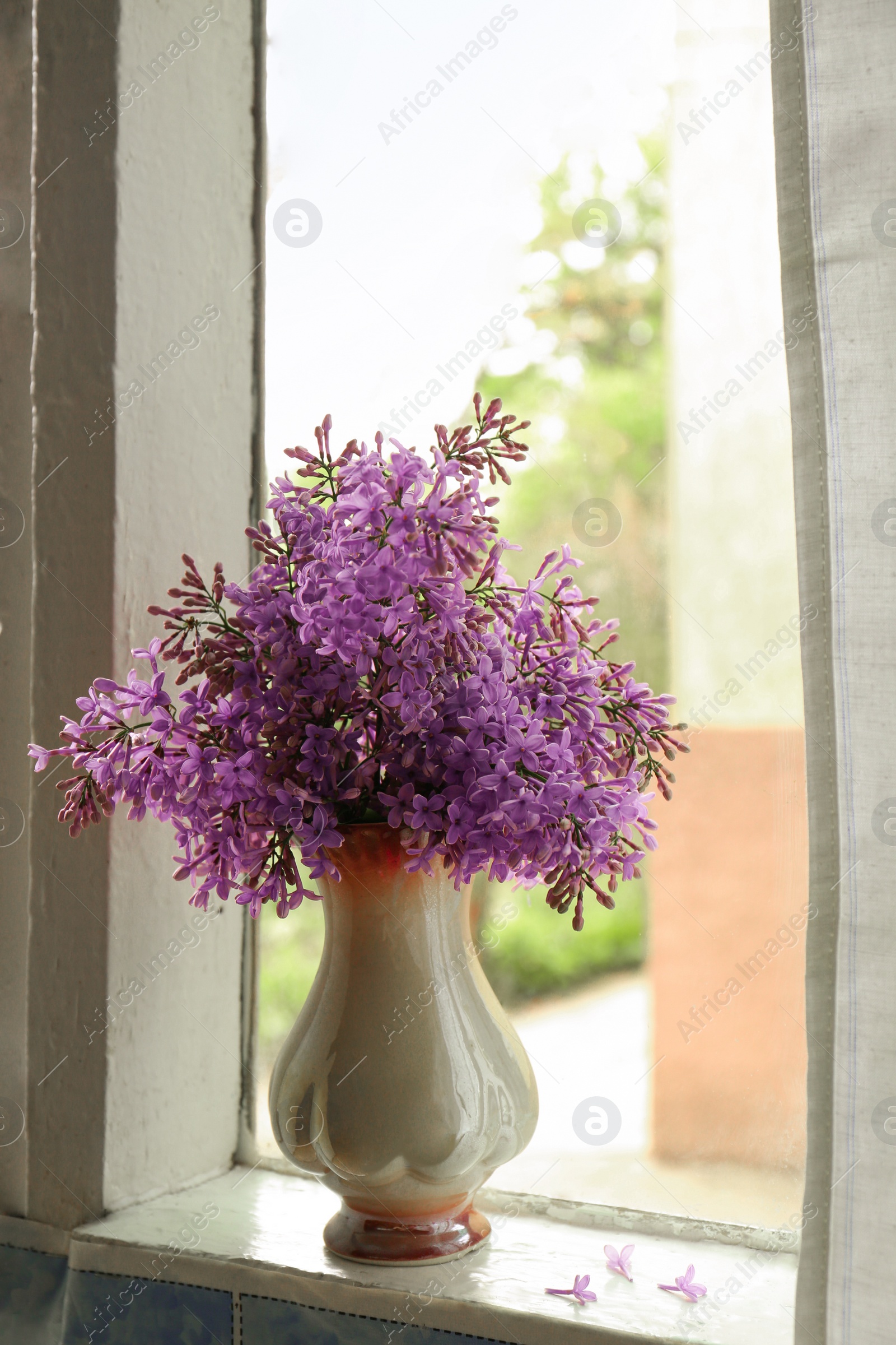 Photo of Beautiful lilac flowers in vase on window sill indoors