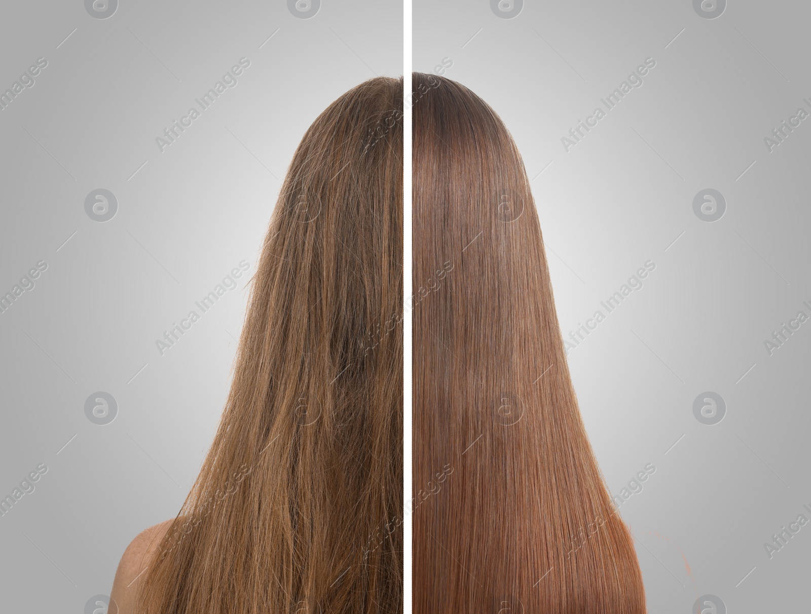 Image of Photo of woman divided into halves before and after hair treatment on grey background, back view