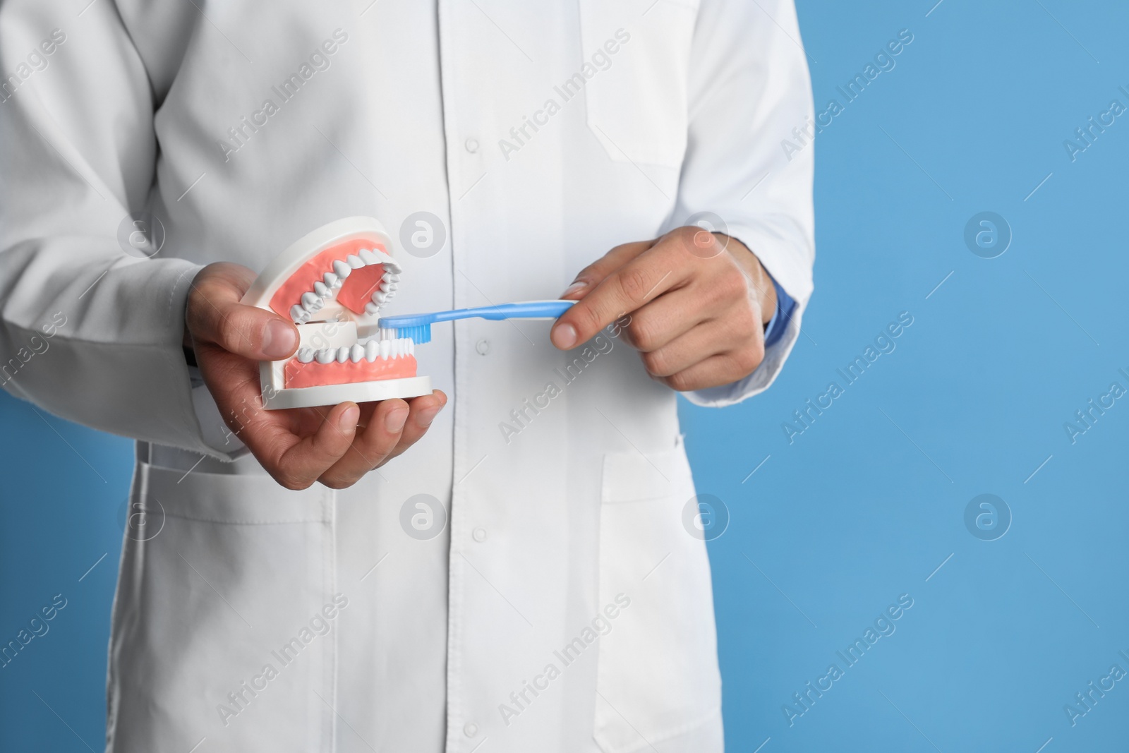 Photo of Dentist with jaws model and toothbrush on light blue background, closeup. Oral care demonstration