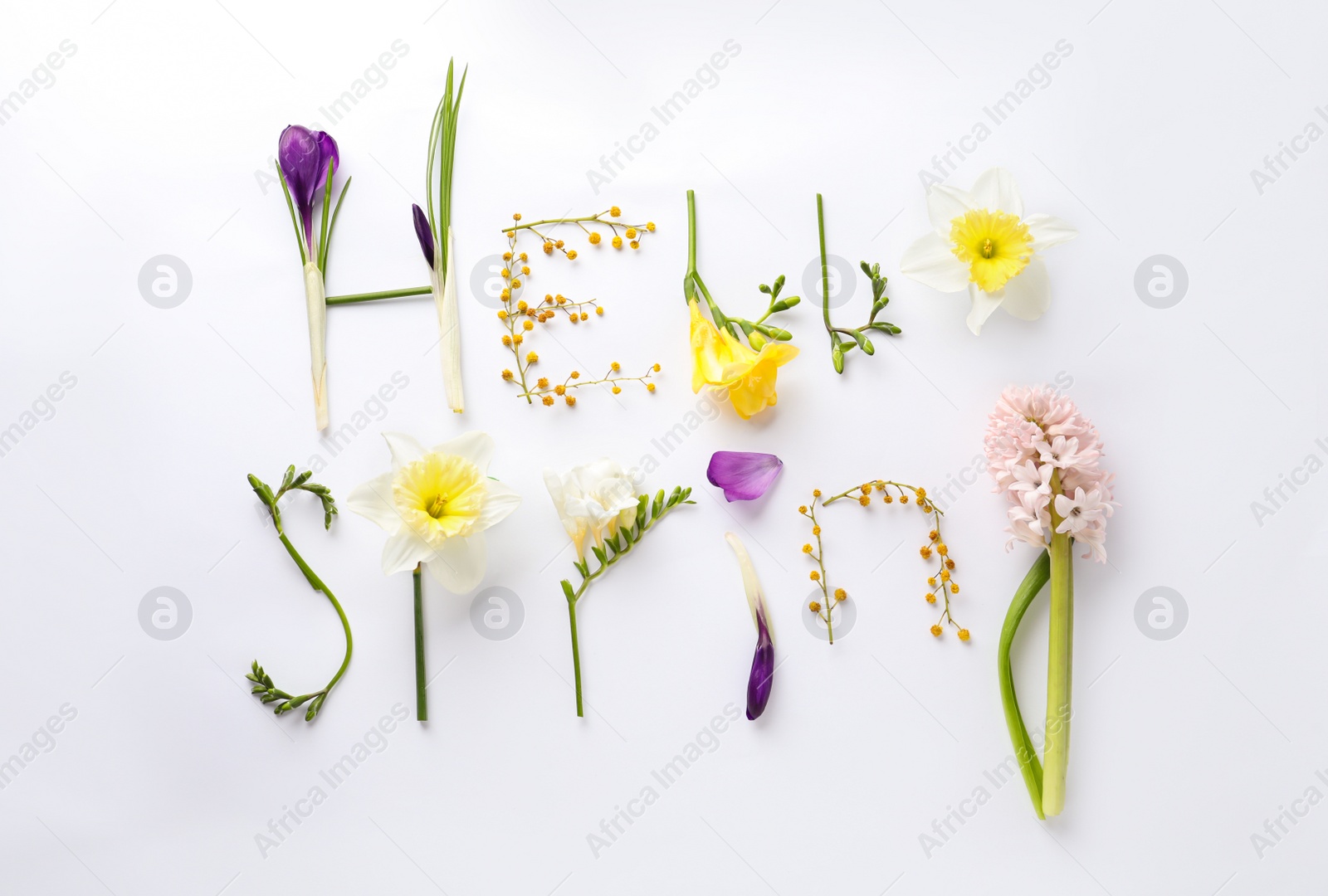 Photo of Words HELLO SPRING made of fresh flowers on white background, flat lay
