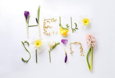 Photo of Words HELLO SPRING made of fresh flowers on white background, flat lay
