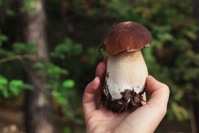Photo of Woman holding porcini mushroom in forest, closeup. Space for text