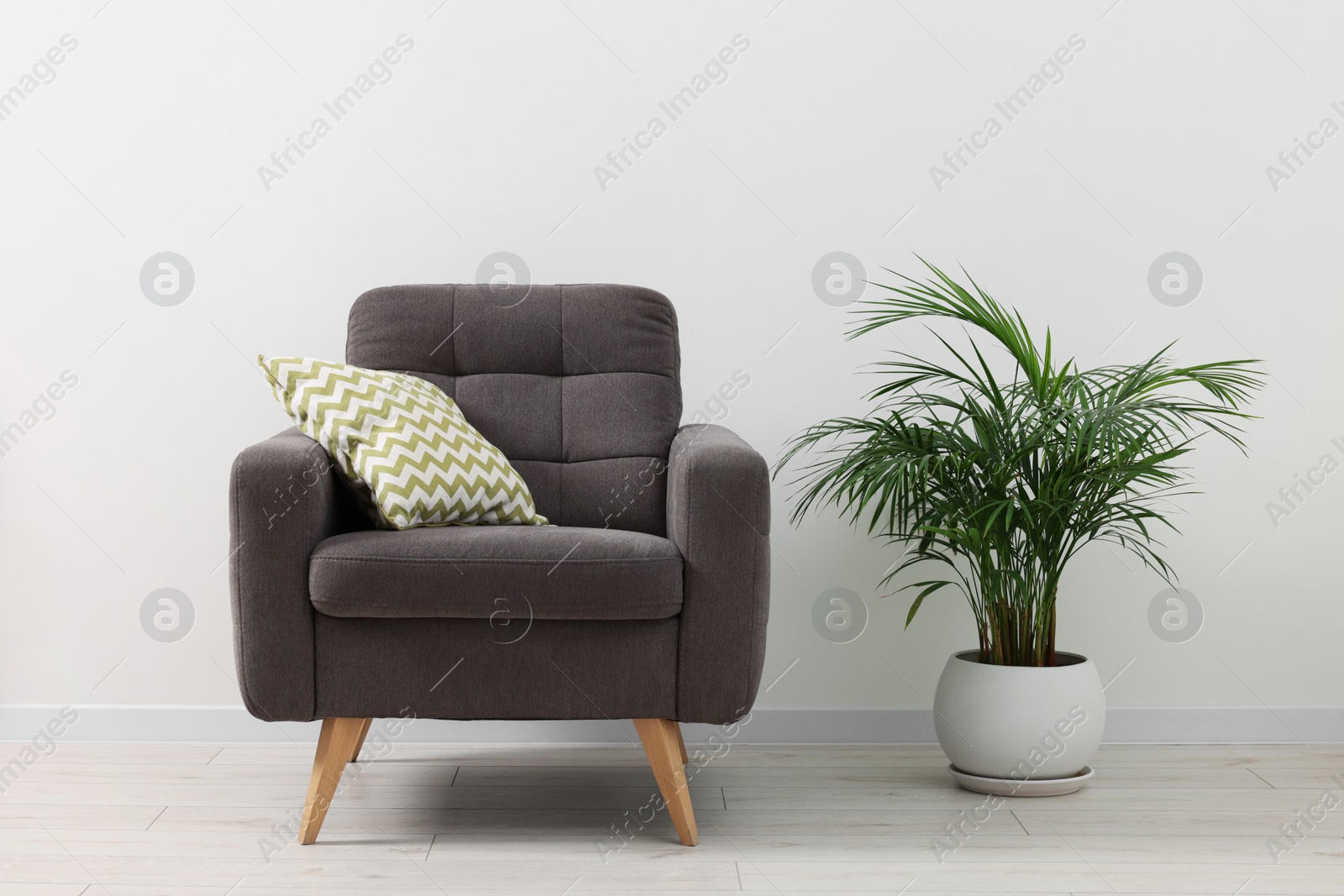 Photo of Comfortable armchair with cushion and houseplant near white wall indoors. Interior design