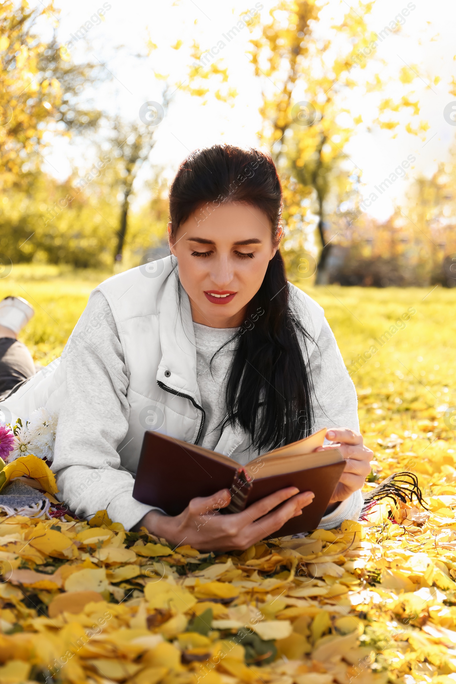 Photo of Woman reading book in park on autumn day