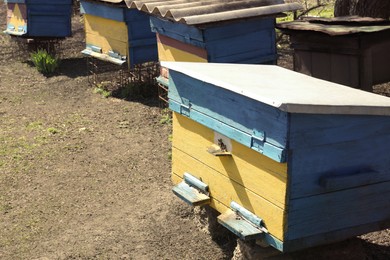 Many color bee hives at apiary outdoors