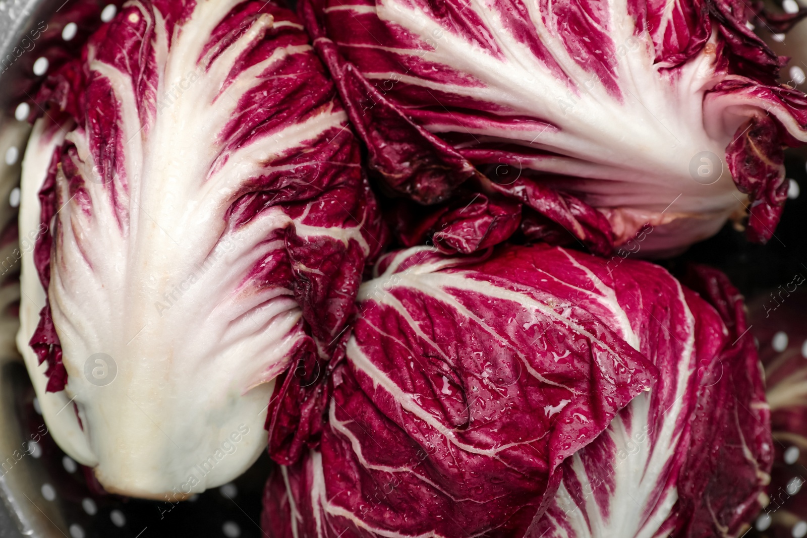 Photo of Fresh ripe radicchios in colander, top view