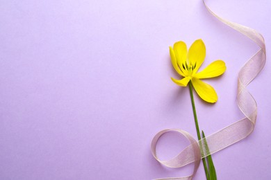 Photo of Yellow tulip and ribbon on violet background, top view with space for text. Menopause concept