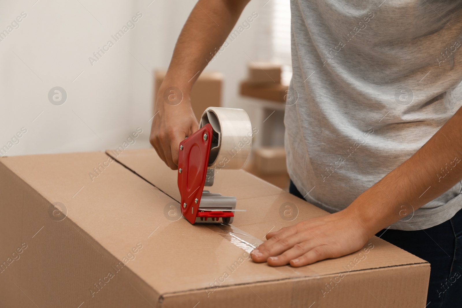 Photo of Woman packing cardboard box indoors, closeup. Moving day