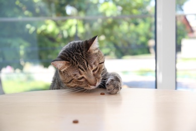 Photo of Cute cat reaching for treat on table at home