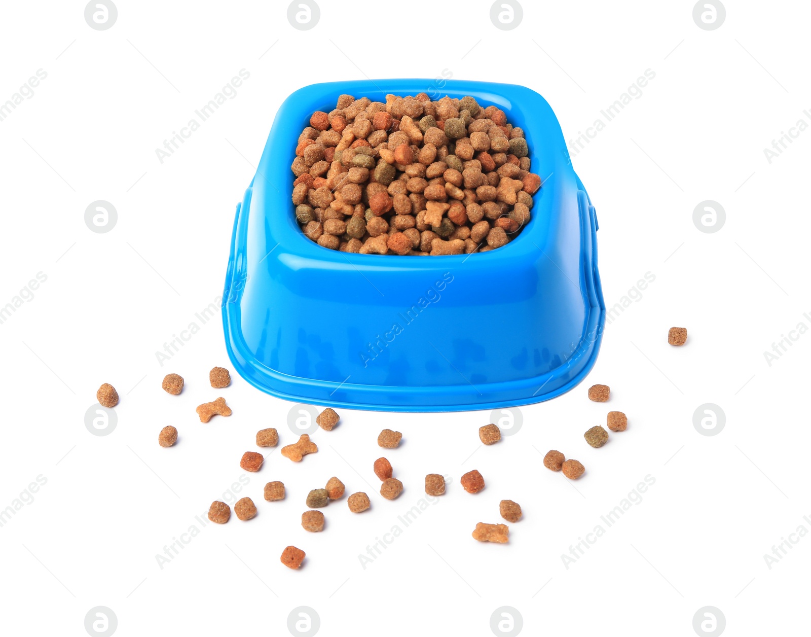 Photo of Dry pet food in feeding bowl isolated on white