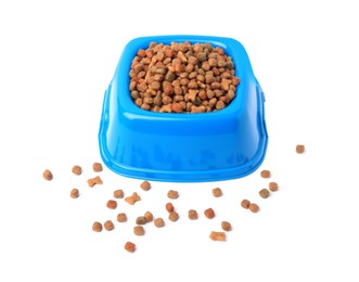 Dry pet food in feeding bowl isolated on white