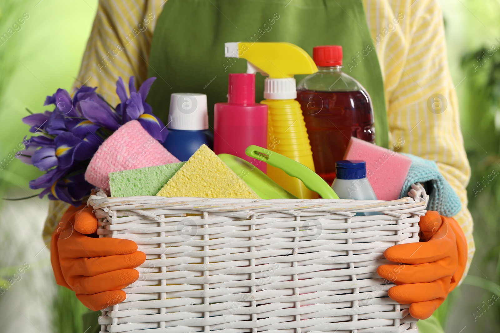 Photo of Woman holding basket with spring flowers and cleaning supplies outdoors, closeup