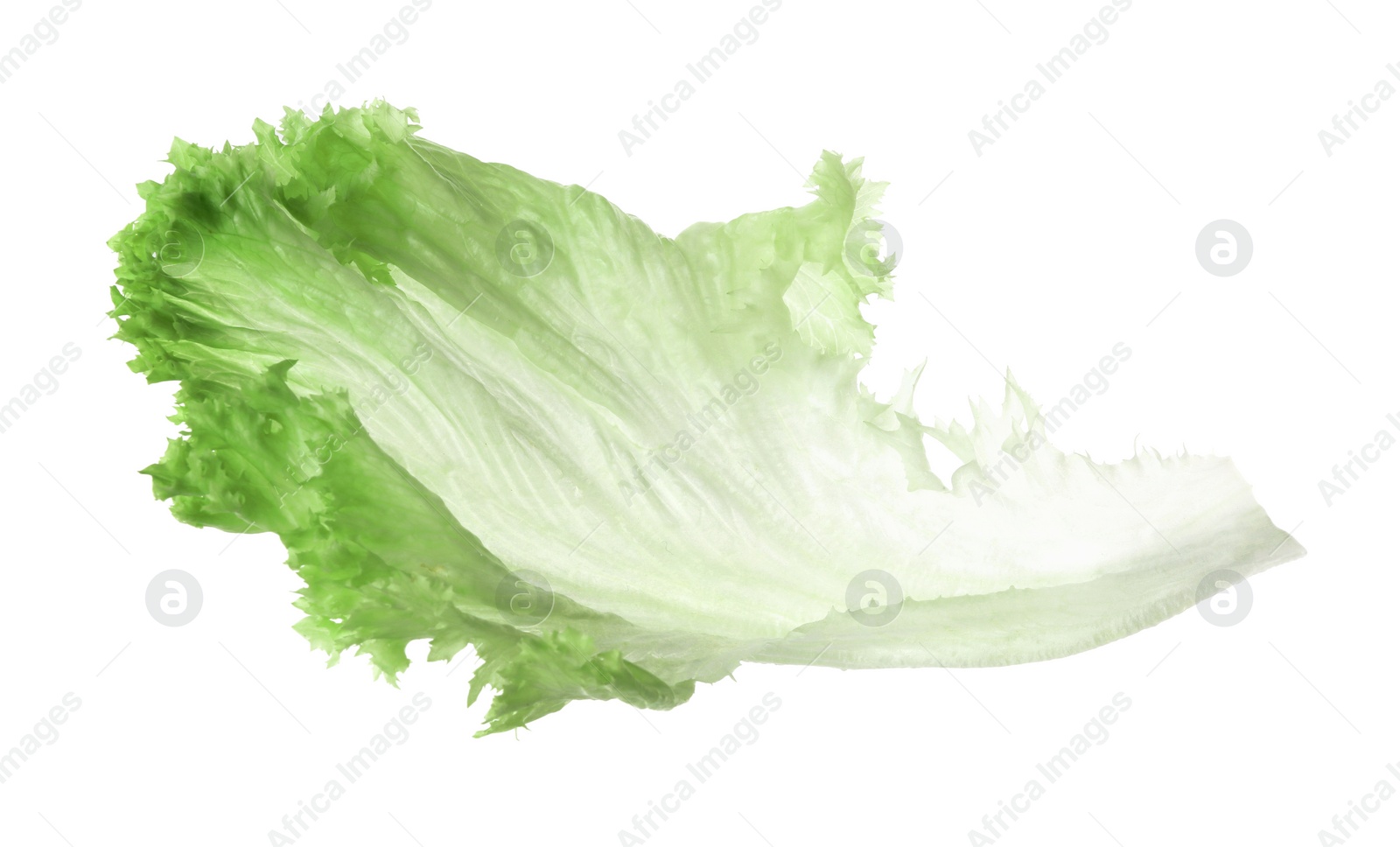 Photo of Fresh green lettuce leaf isolated on white