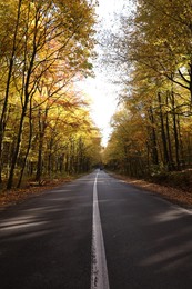 Beautiful view of asphalt road going through autumn forest