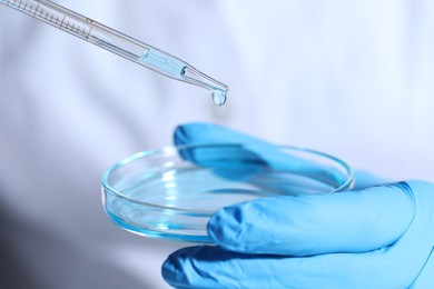 Photo of Scientist dripping liquid from pipette into petri dish, closeup