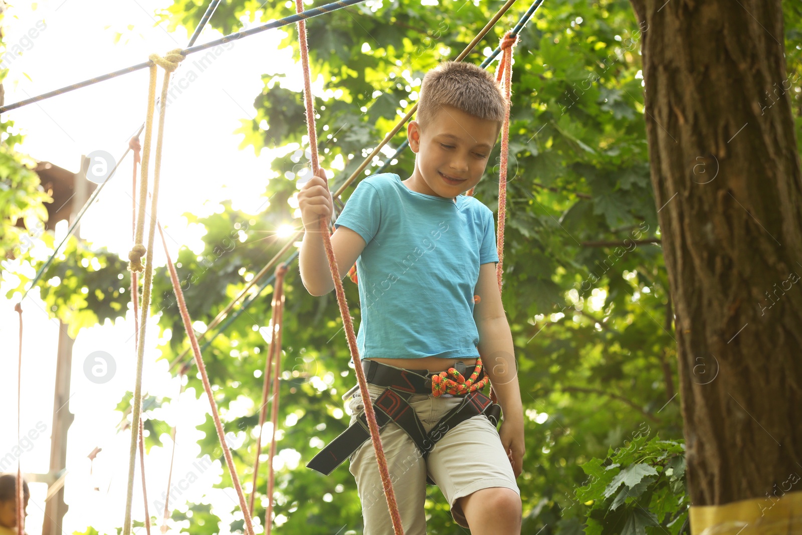 Photo of Little boy climbing in adventure park. Summer camp