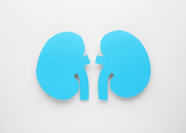 Photo of Paper cutout of kidneys on white background, top view