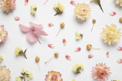 Photo of Beautiful fresh and dry flowers on white background, flat lay