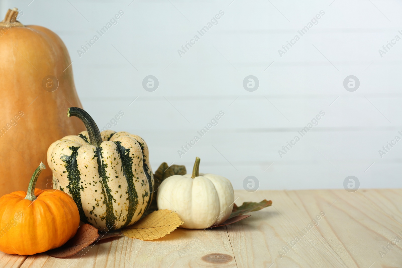 Photo of Thanksgiving day. Many different pumpkins and dry leaves on wooden table, space for text