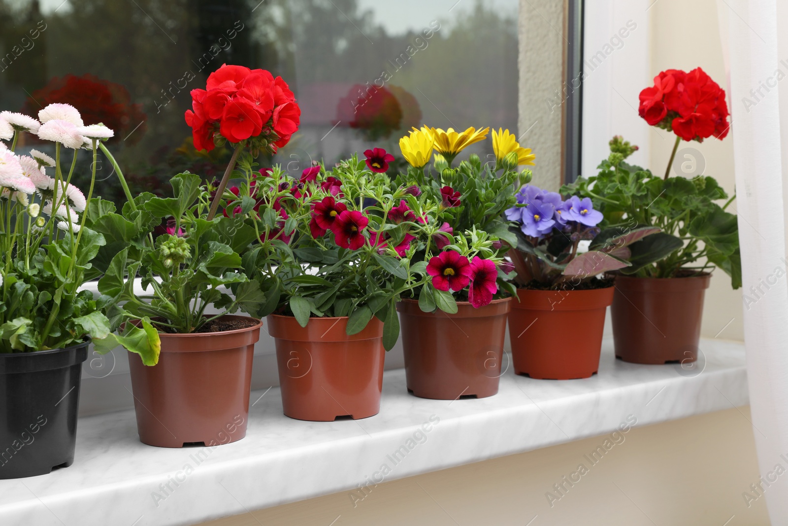 Photo of Different beautiful potted flowers on windowsill indoors