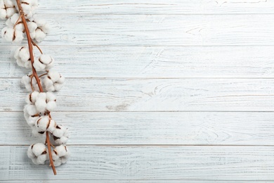 Photo of Branch of cotton plant on white wooden background, top view. Space for text