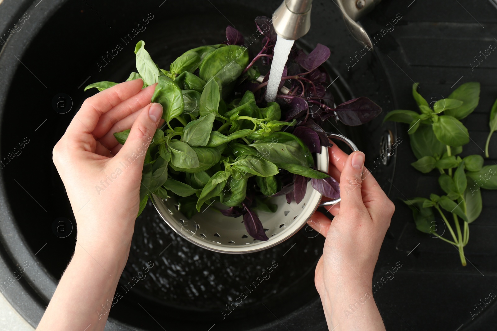 Photo of Woman washing different fresh basil leaves under tap water in metal colander above sink, top view