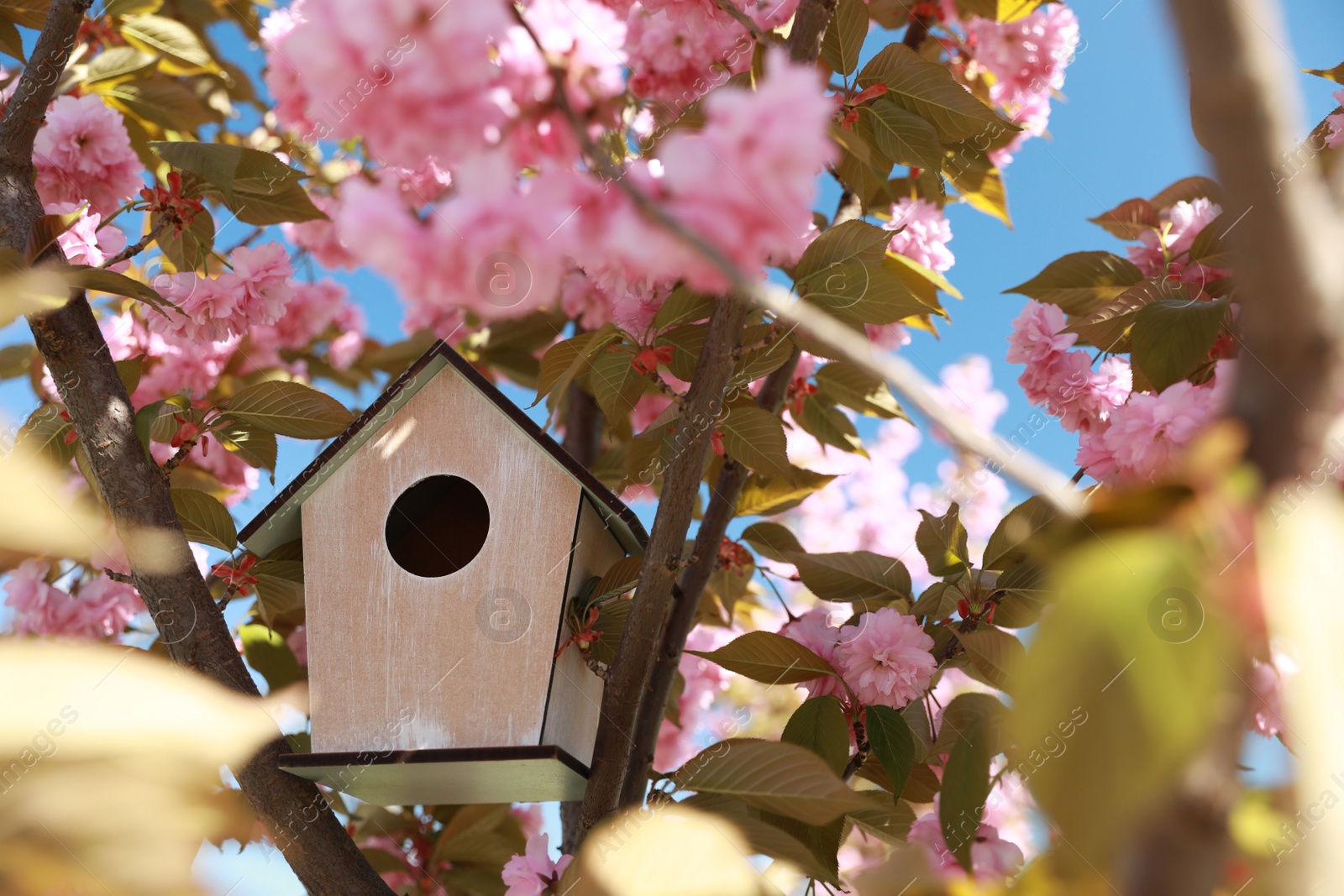 Photo of Wooden bird house on tree branches outdoors