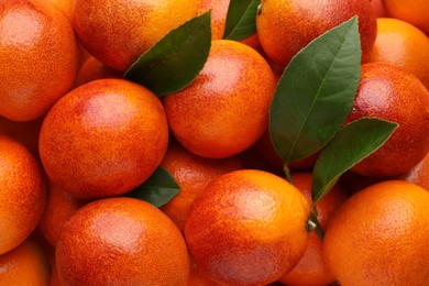Photo of Pile of ripe sicilian oranges with leaves as background, closeup