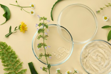 Flat lay composition with Petri dishes and plants on beige background