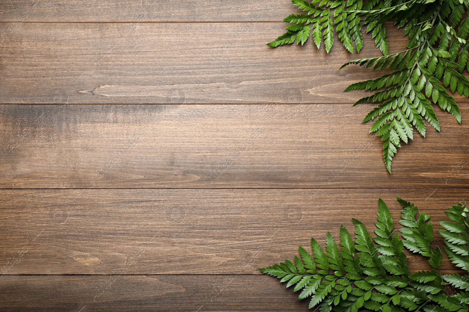 Photo of Beautiful tropical fern leaves on wooden background, flat lay. Space for text