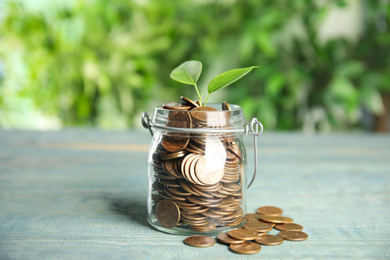 Photo of Glass jar with coins and green plant on light blue wooden table