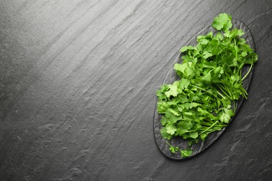 Fresh coriander on dark gray textured table, top view. Space for text