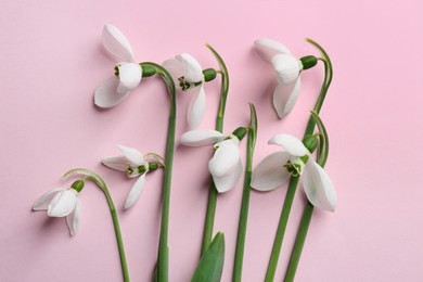 Photo of Beautiful snowdrops on pink background, flat lay