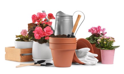 Photo of Beautiful flowers, pots and gardening tools isolated on white