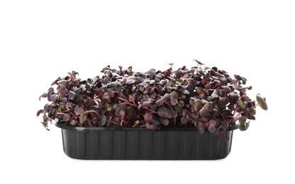 Fresh radish microgreens in plastic container isolated on white