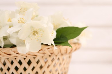 Beautiful jasmine flowers in wicker basket against blurred background, closeup