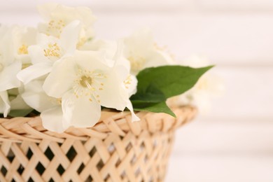 Photo of Beautiful jasmine flowers in wicker basket against blurred background, closeup