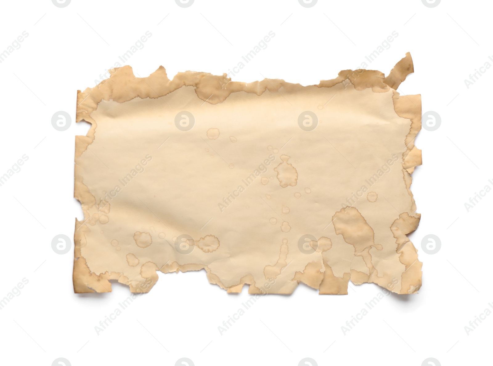 Photo of Sheet of old parchment paper isolated on white, top view. Space for design