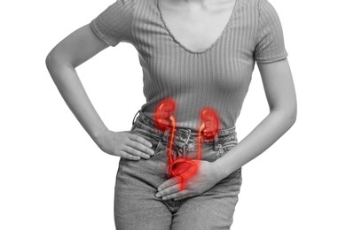 Image of Woman suffering from cystitis on white background, closeup. Illustration of urinary system