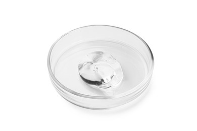 Photo of Petri dish with liquid isolated on white