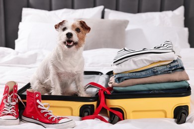 Photo of Travel with pet. Dog, clothes, shoes and suitcase on bed indoors