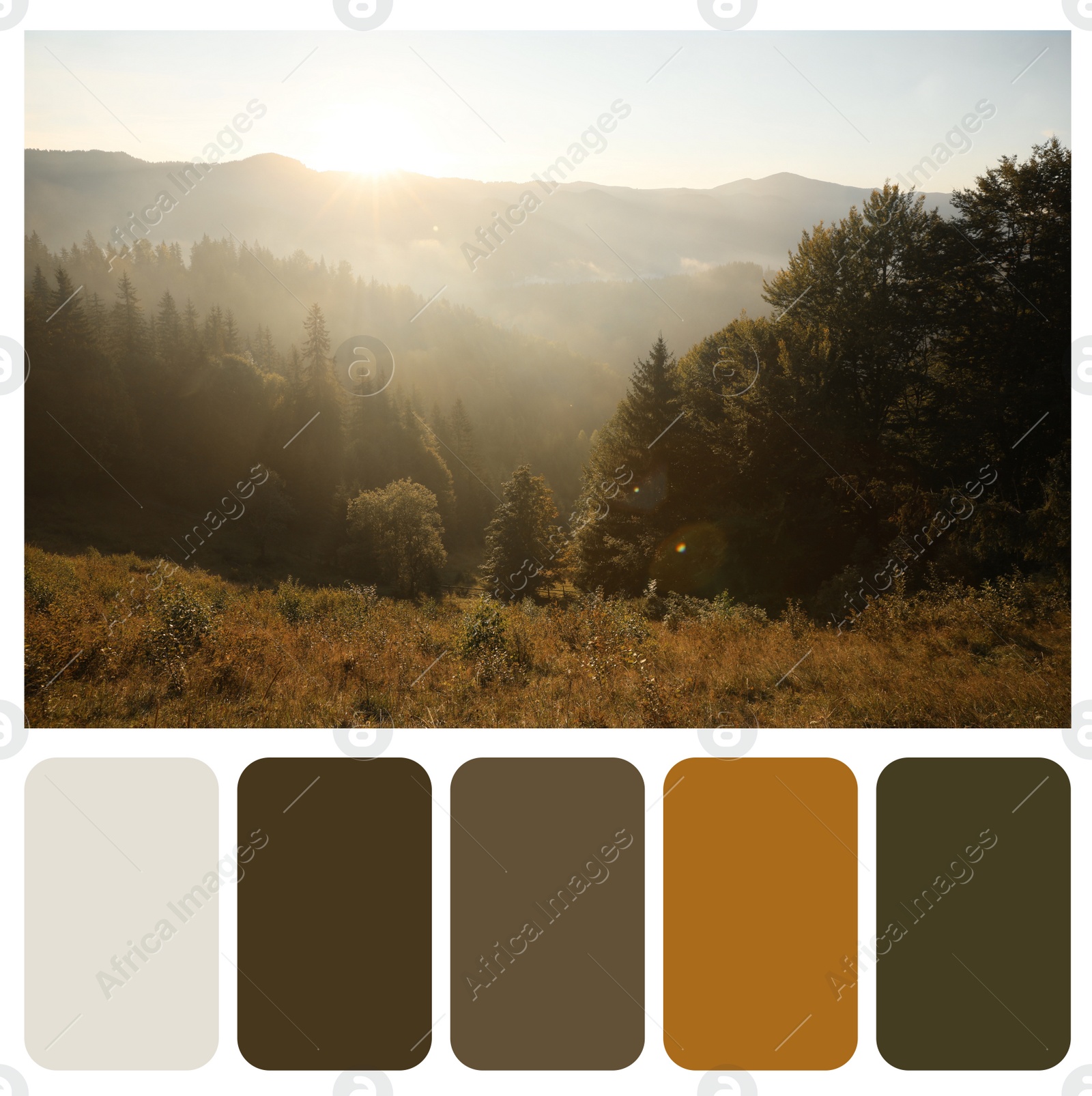 Image of Color palette appropriate to photo of beautiful mountain landscape in morning