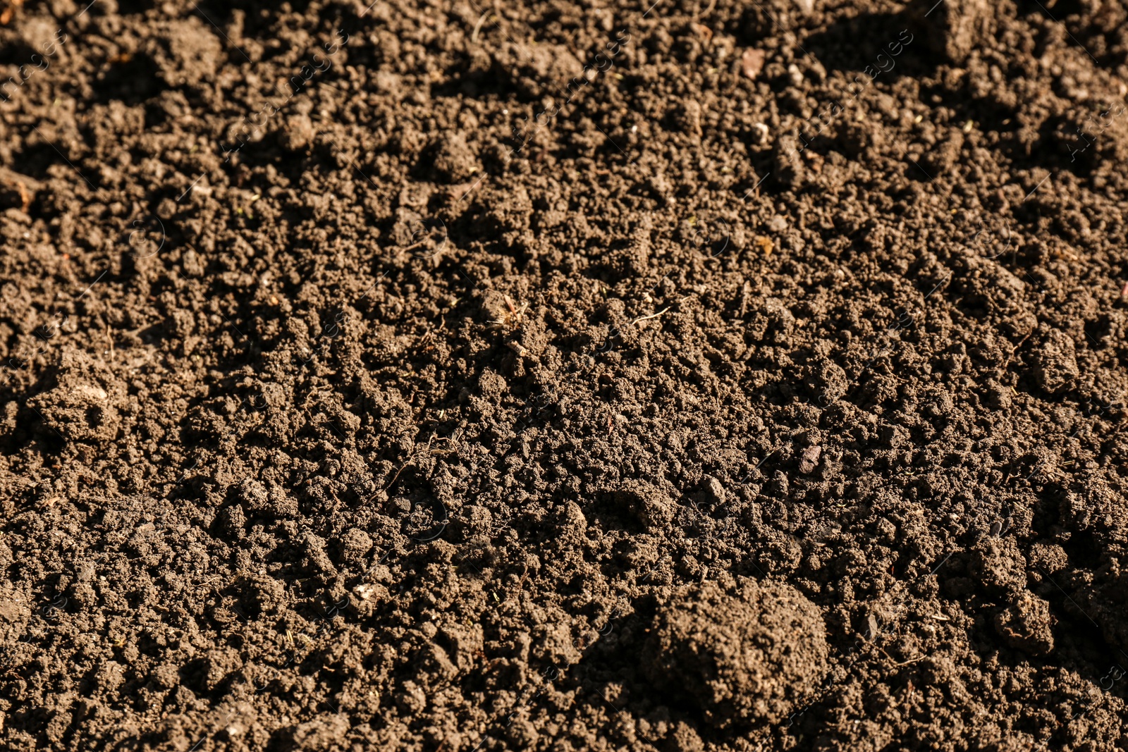 Photo of Textured ground surface as background, closeup. Fertile soil