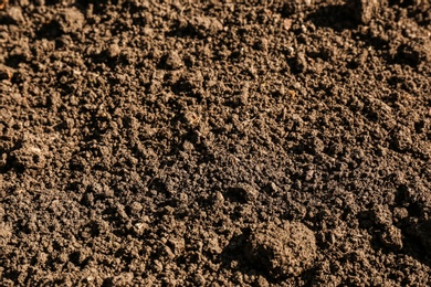 Textured ground surface as background, closeup. Fertile soil