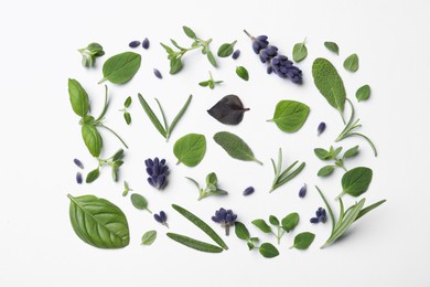 Photo of Many different aromatic herbs on white background, flat lay